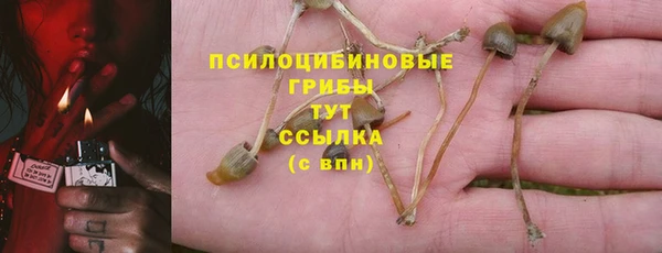 эйфоретик Абинск