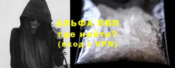 сатива Ростов